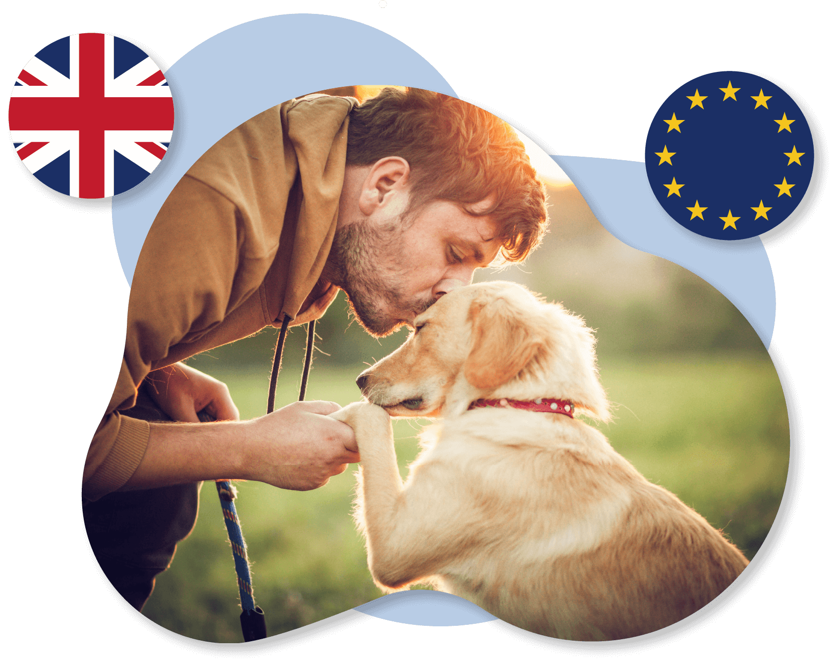 Support Dog UK EU Psychiatric Assistance Dog Support Animal Registry